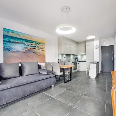 Gardenia, Sun & Snow *