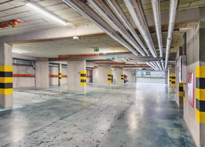 Gardenia, Sun & Snow